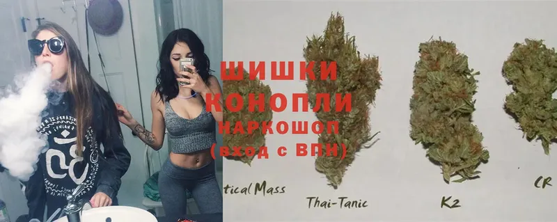 купить  цена  Невинномысск  Бошки марихуана Ganja 